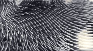 WTFFF 288 | Interactive 3D Prints